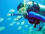 Kenya Diving